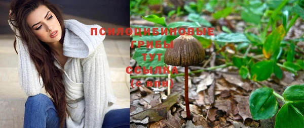мет Богданович