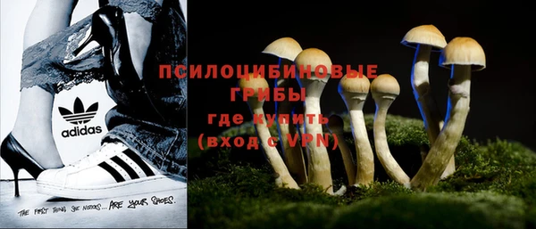 мет Богданович