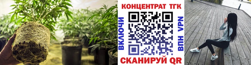 ТГК гашишное масло  закладки  Шадринск 