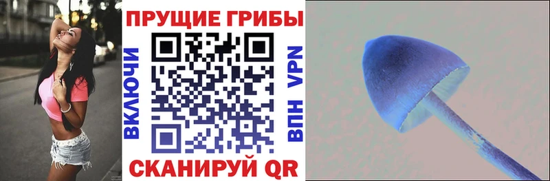 Галлюциногенные грибы MAGIC MUSHROOMS  OMG ссылки  Шадринск 